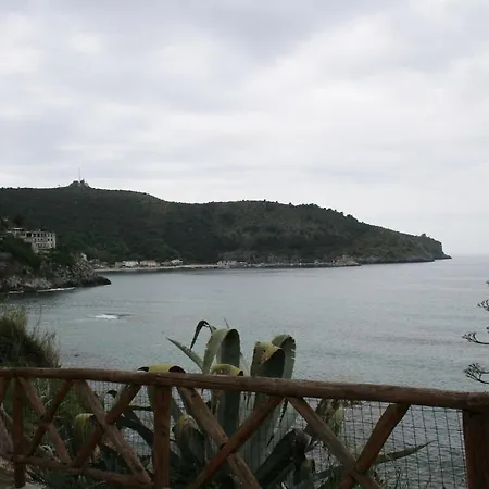 Sottocoperta パリヌロ